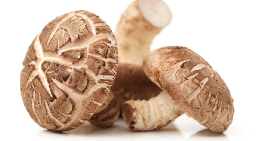 Les champignons shiitake font partie de Prostamin Forte